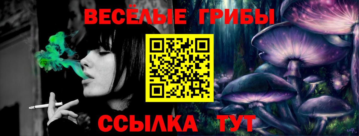 Галлюциногенные грибы прущие грибы  Вход с VPN  Пыть-Ях 